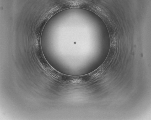 X0000060270456200511112051