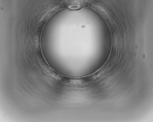 X0000060270457200511112051