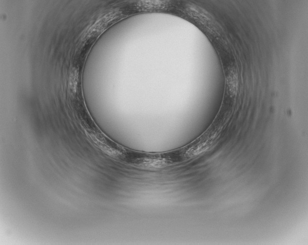 X0000060270458200511112051