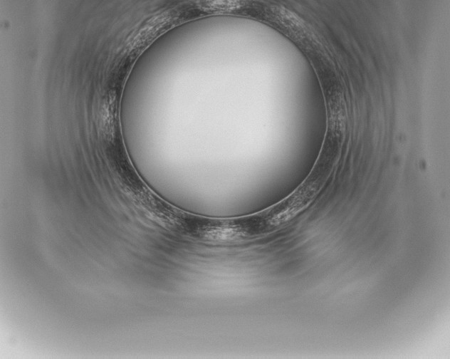 X0000060270460200511112051