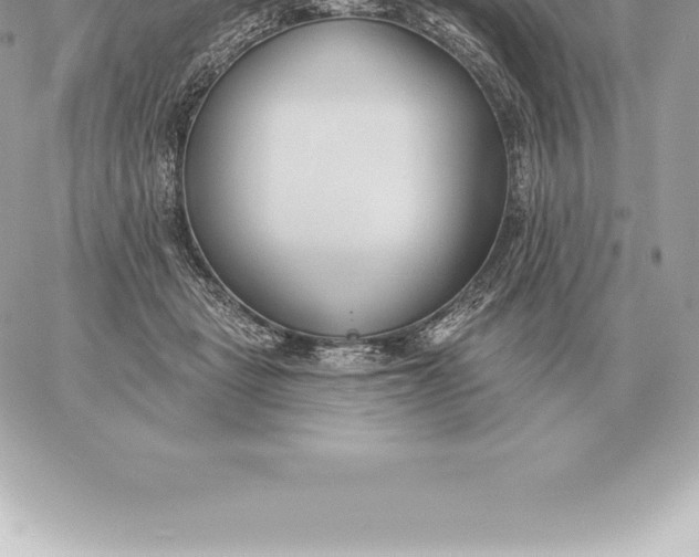 X0000060270461200511112051