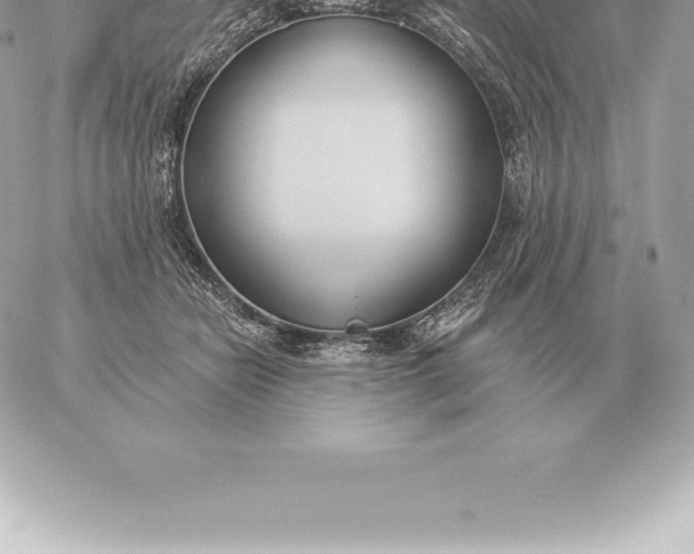 X0000060270462200511112051