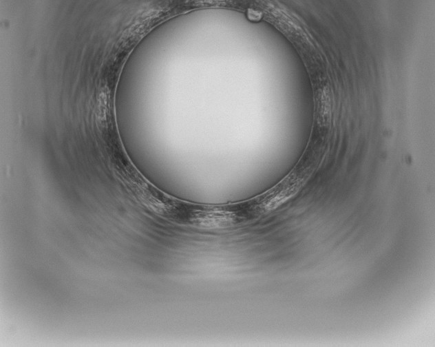 X0000060270463200511112051