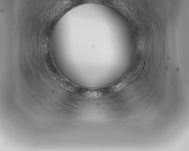 X0000060270464200511112051