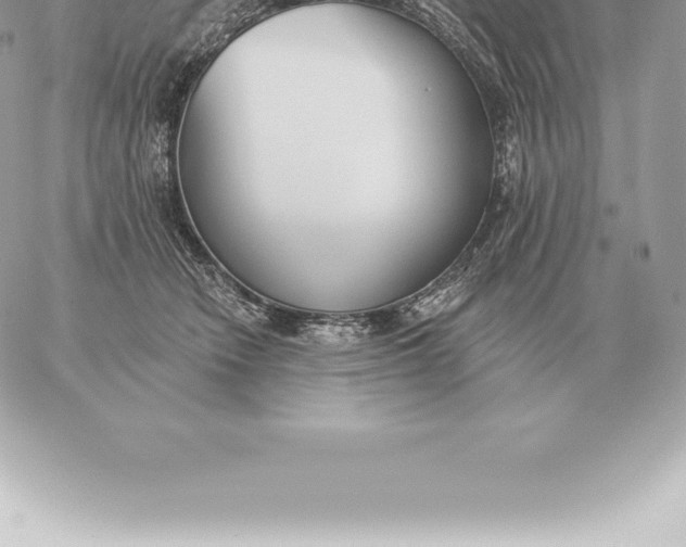 X0000060270466200511112051