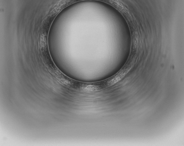 X0000060270467200511112051