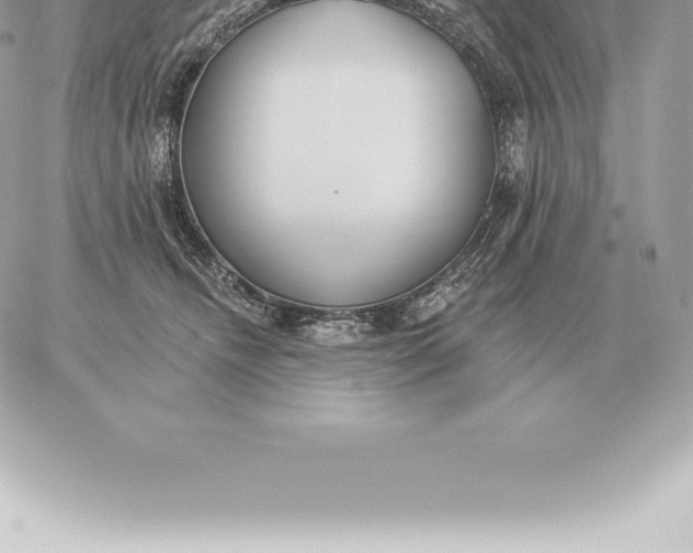 X0000060270468200511112051