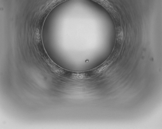 X0000060270469200511112051