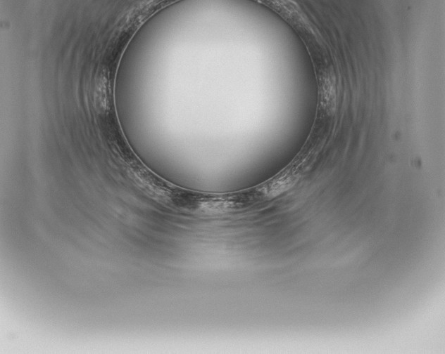 X0000060270470200511112051