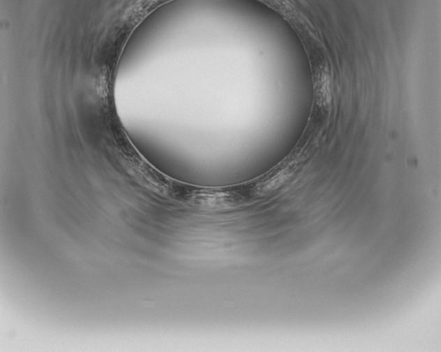 X0000060270472200511112051