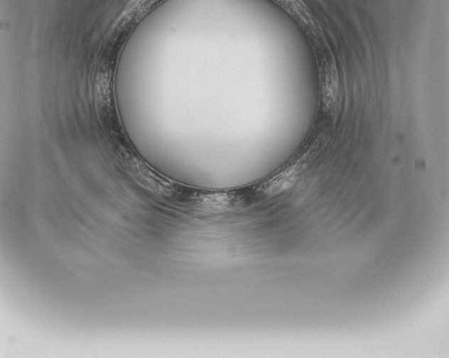 X0000060270473200511112051