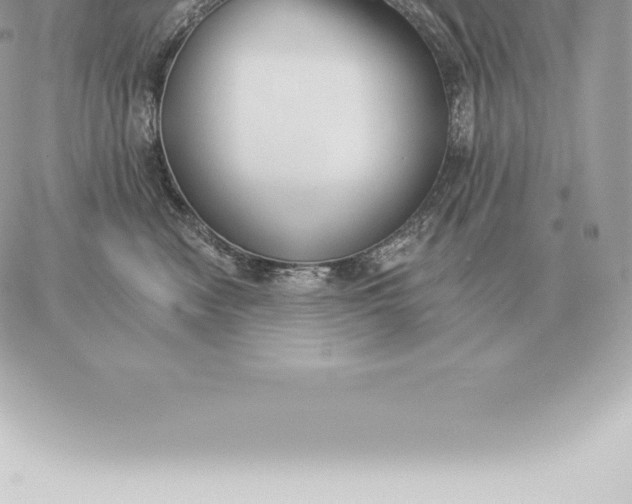 X0000060270474200511112051