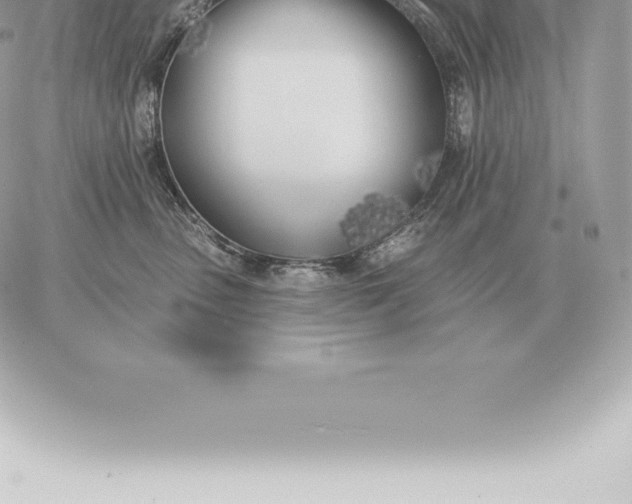 X0000060270475200511112051