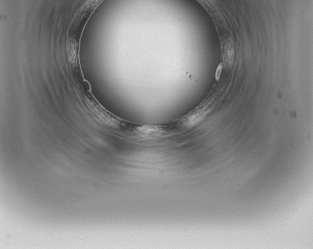 X0000060270477200511112052