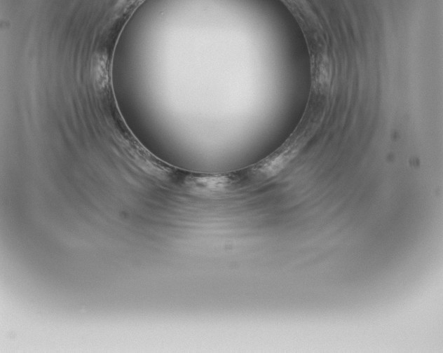 X0000060270478200511112052