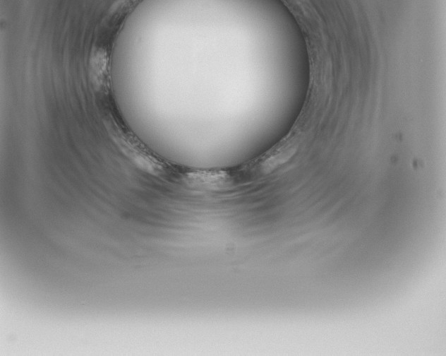 X0000060270480200511112052