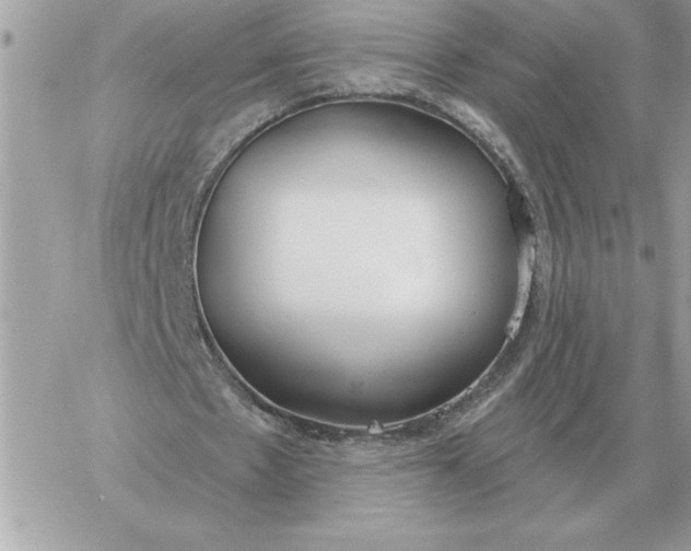 X0000060270481200511112051