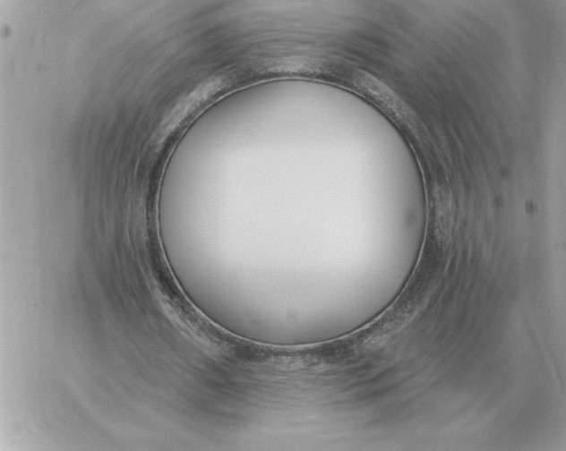 X0000060270482200511112051