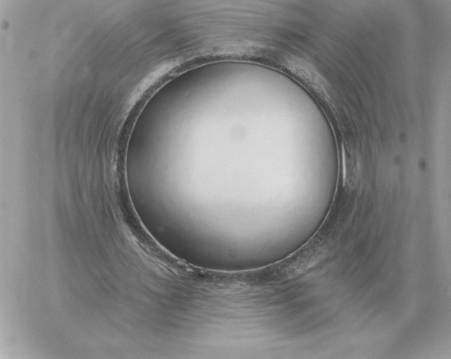 X0000060270483200511112051