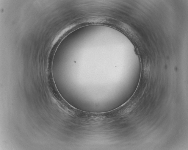 X0000060270484200511112051