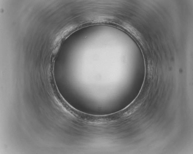 X0000060270485200511112051