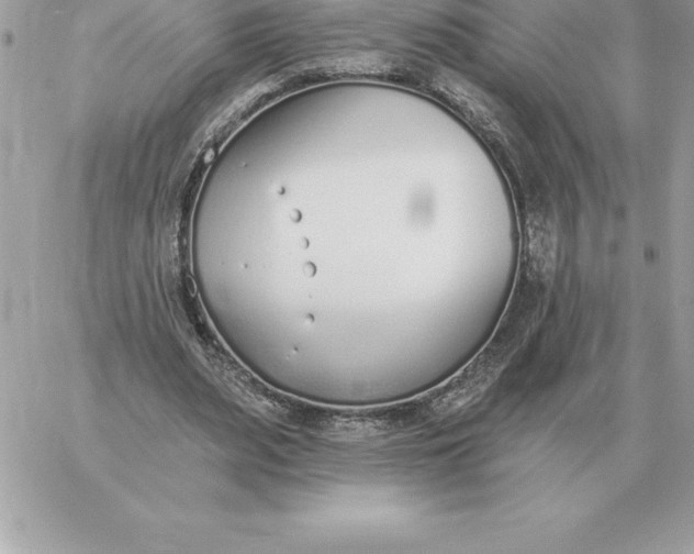 X0000060270487200511112051