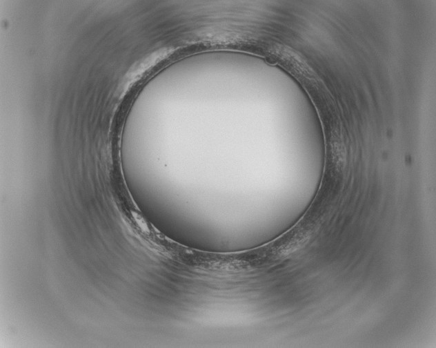 X0000060270488200511112051