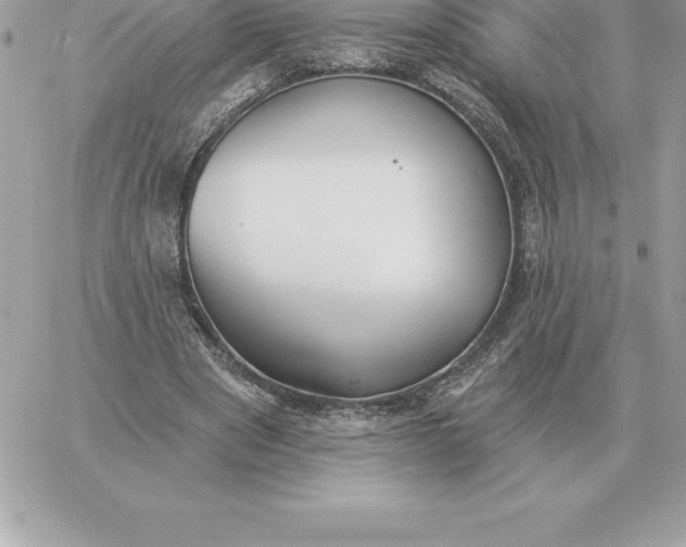 X0000060270489200511112051