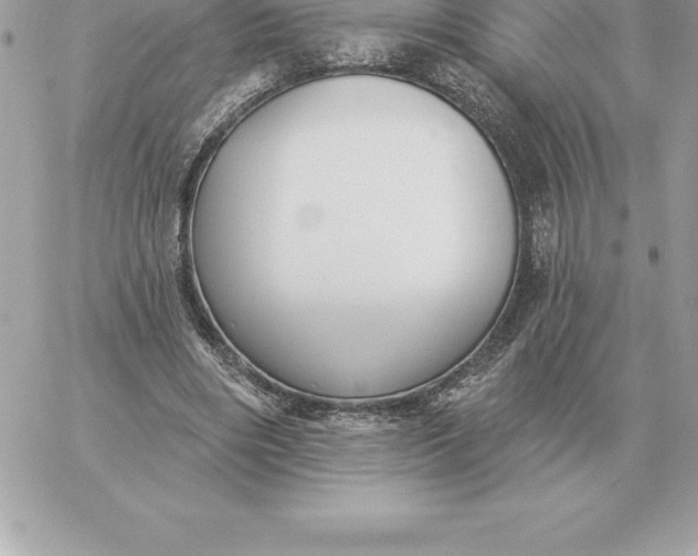 X0000060270490200511112051