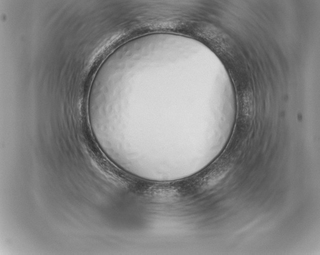 X0000060270491200511112051