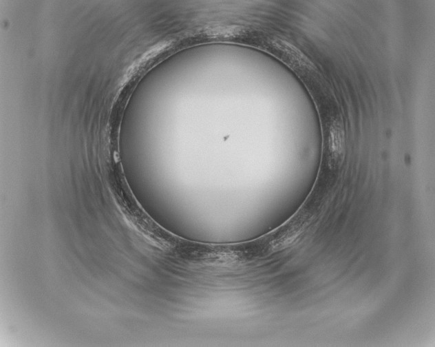 X0000060270492200511112051