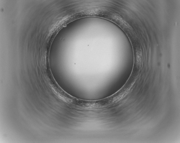 X0000060270493200511112051