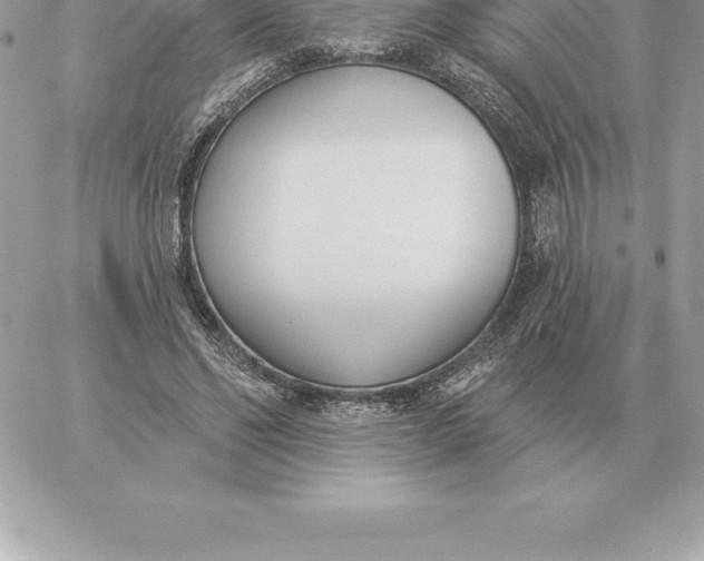 X0000060270494200511112051