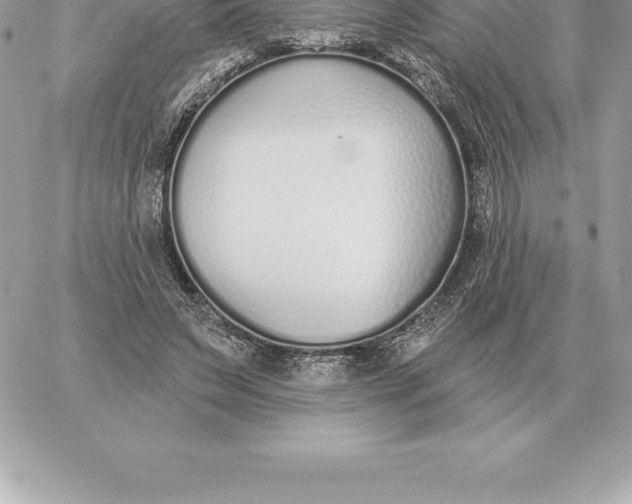 X0000060270495200511112051