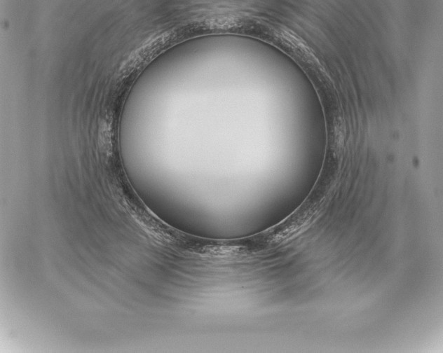 X0000060270497200511112051