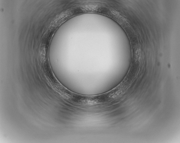 X0000060270498200511112050