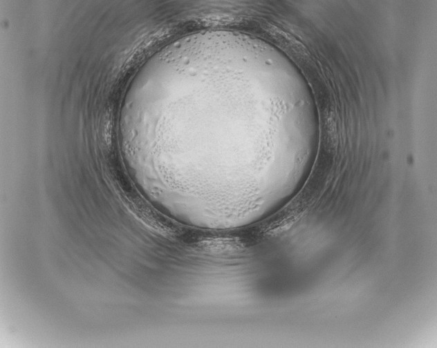 X0000060270499200511112050