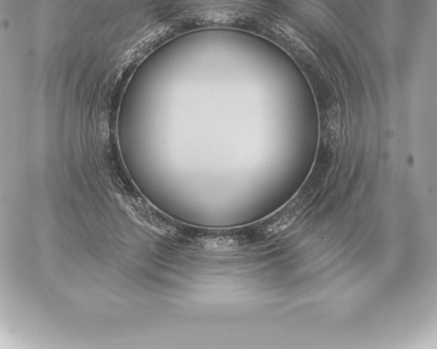 X0000060270500200511112050