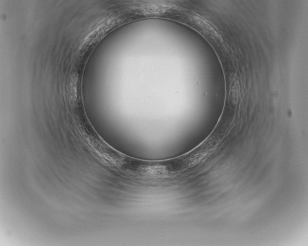 X0000060270501200511112050