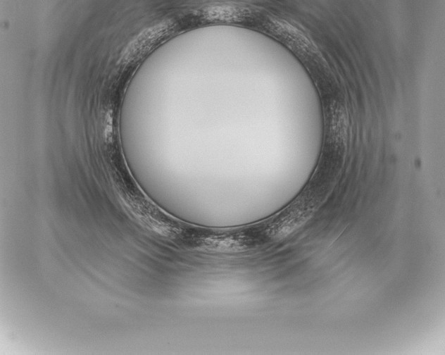 X0000060270502200511112050