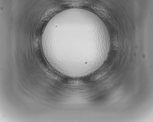 X0000060270503200511112050