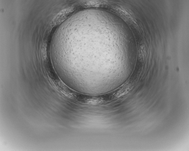 X0000060270504200511112050