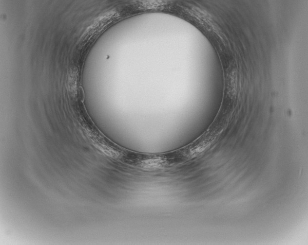 X0000060270505200511112050