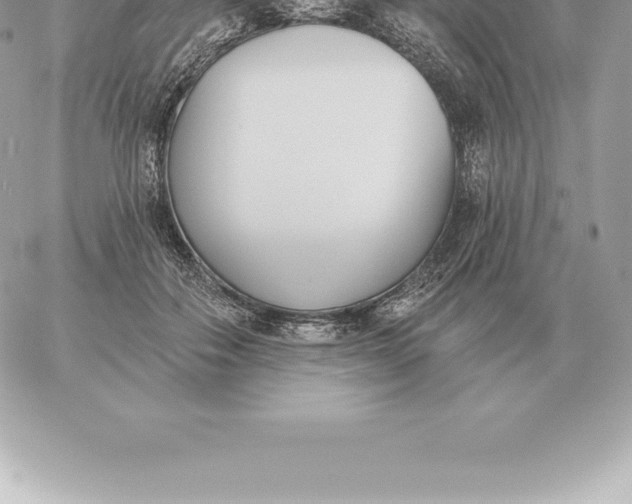 X0000060270506200511112050