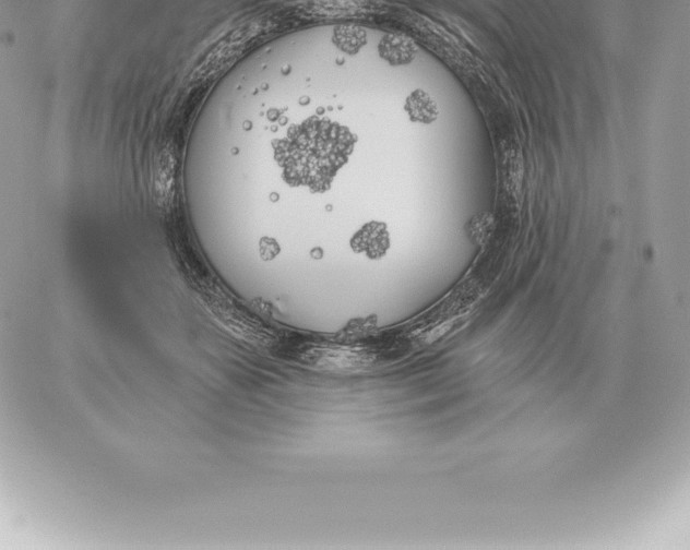 X0000060270507200511112050