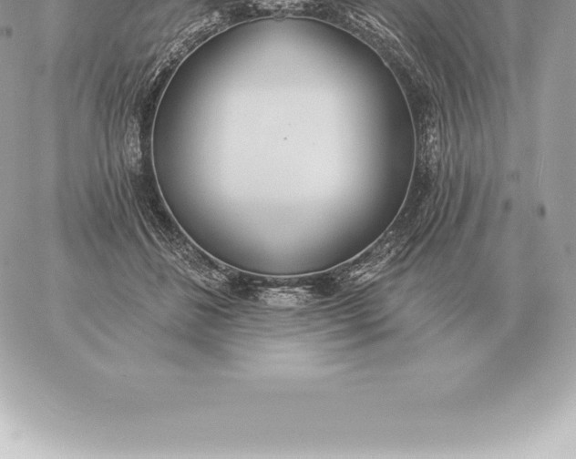 X0000060270508200511112050