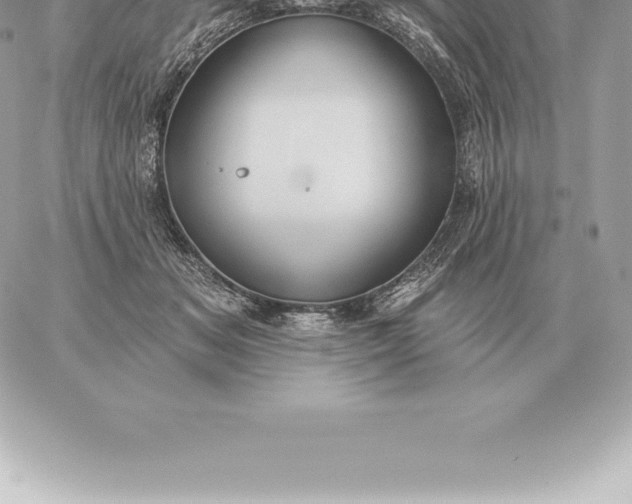 X0000060270509200511112050