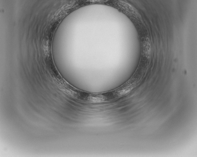 X0000060270510200511112050