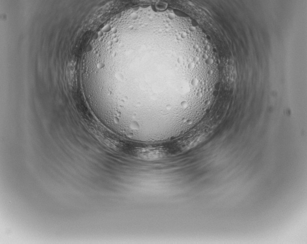 X0000060270511200511112050