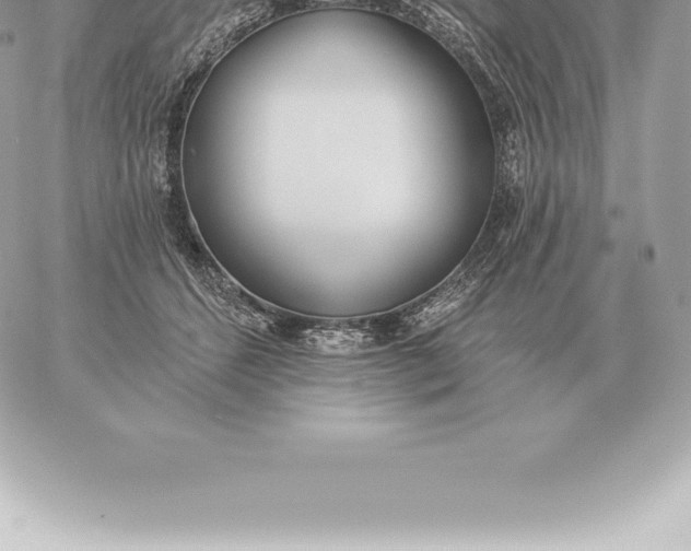 X0000060270512200511112050